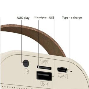 اسپیکر بلوتوثی میکروفن دار قابل حمل با افکت صدا و رقص نور